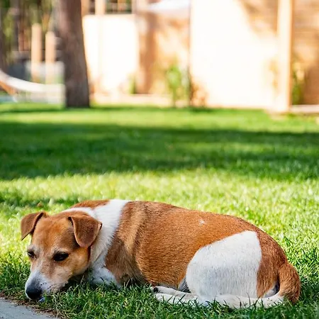 Seaside Harmony Ferienhaus Pogorzelica (Gmina Rewal)
