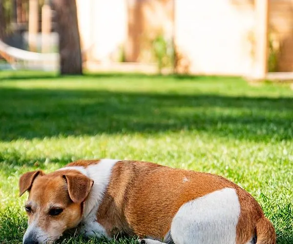 Seaside Harmony Casa vacanze Pogorzelica (Gmina Rewal)
